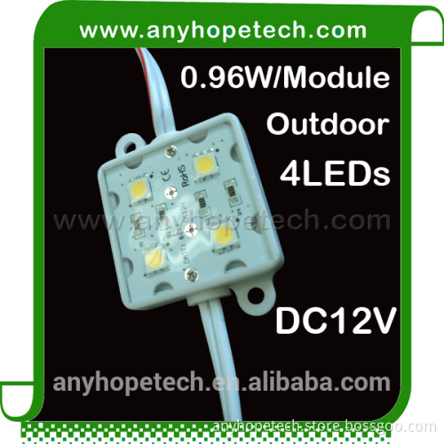 CE RoHS Certified 0.96W Waterproof Power LED Module and Waterproof Power Supply for light box